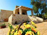 Ferienunterknfte ferienvillas: villa Nr. 126448