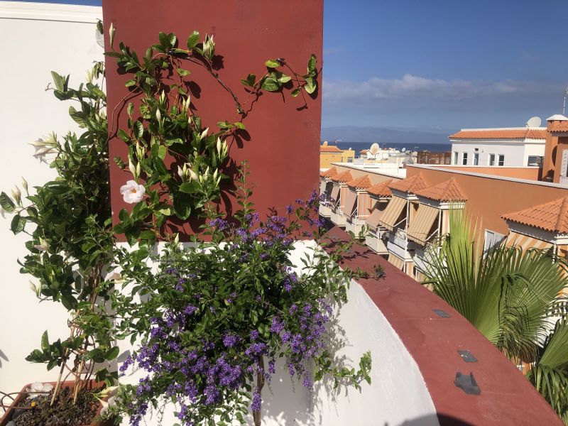 foto 1 Mietobjekt von Privatpersonen Playa San Juan appartement Kanarische Inseln  Ausblick von der Terrasse