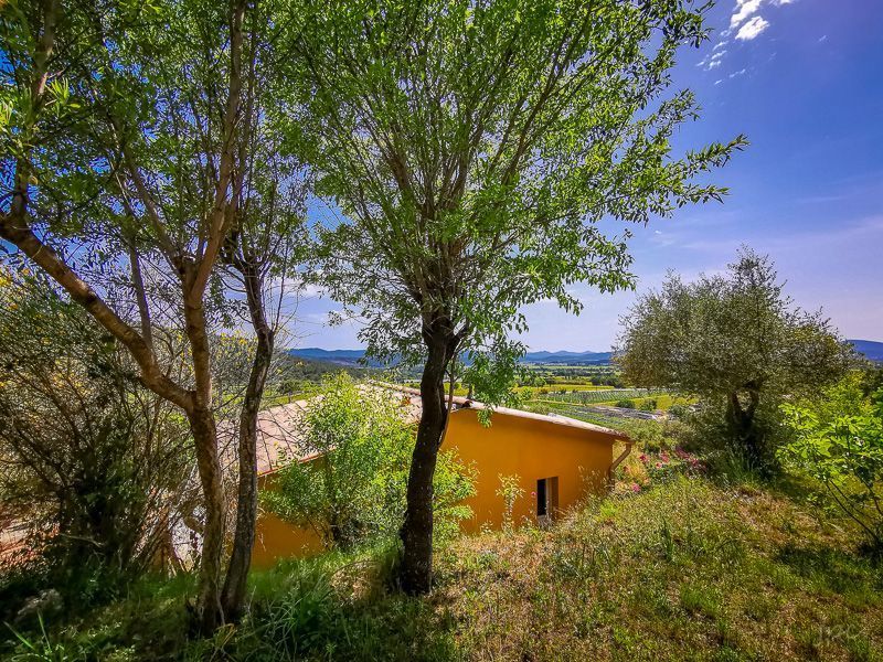 foto 4 Mietobjekt von Privatpersonen Cuers studio Provence-Alpes-Cte d'Azur Var Garten