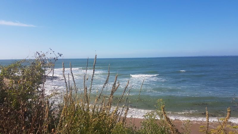 foto 14 Mietobjekt von Privatpersonen Noirmoutier en l'le maison Pays de la Loire Vende