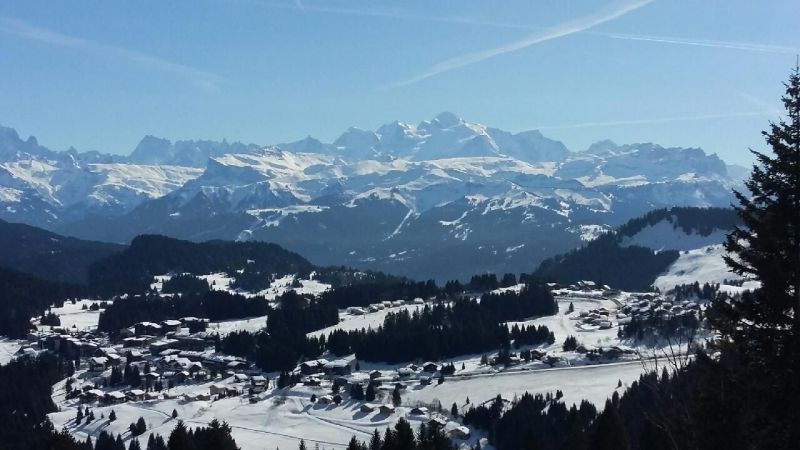 foto 24 Mietobjekt von Privatpersonen Praz de Lys Sommand appartement Rhne-Alpes Haute-Savoie Nahaufnahme