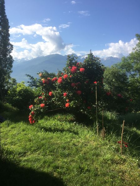 foto 13 Mietobjekt von Privatpersonen Embrun chalet Provence-Alpes-Cte d'Azur Hautes-Alpes Garten