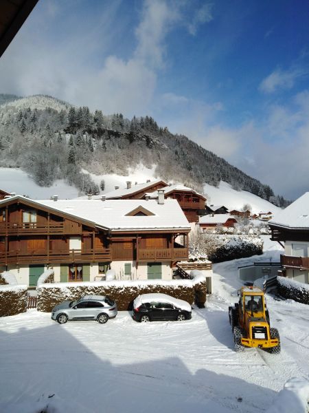 foto 2 Mietobjekt von Privatpersonen Praz sur Arly appartement Rhne-Alpes Haute-Savoie