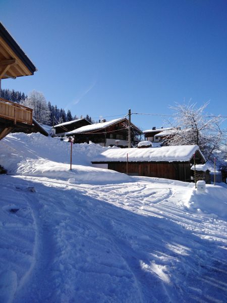 foto 1 Mietobjekt von Privatpersonen Praz sur Arly appartement Rhne-Alpes Haute-Savoie Ansicht des Objektes