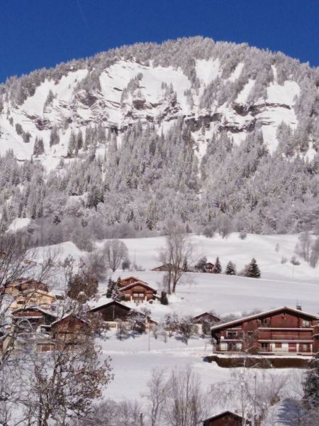 foto 14 Mietobjekt von Privatpersonen Praz sur Arly appartement Rhne-Alpes Haute-Savoie