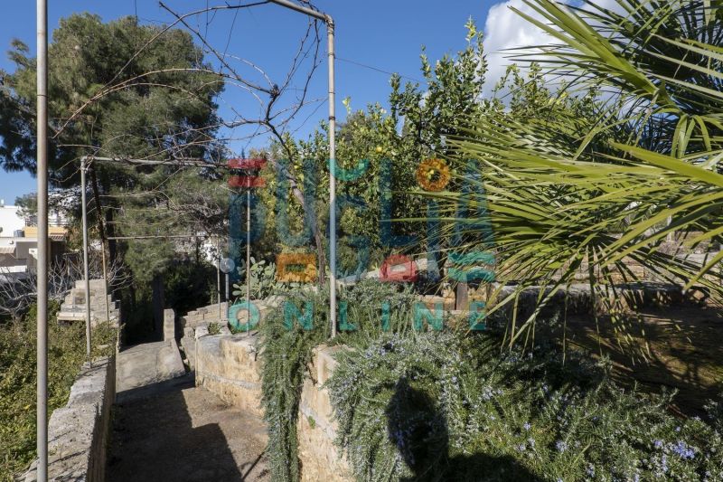 foto 24 Mietobjekt von Privatpersonen Torre Vado appartement Apulien Lecce (+Umland) Garten