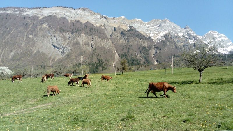 foto 15 Mietobjekt von Privatpersonen Albertville gite Rhne-Alpes Savoyen Nahaufnahme
