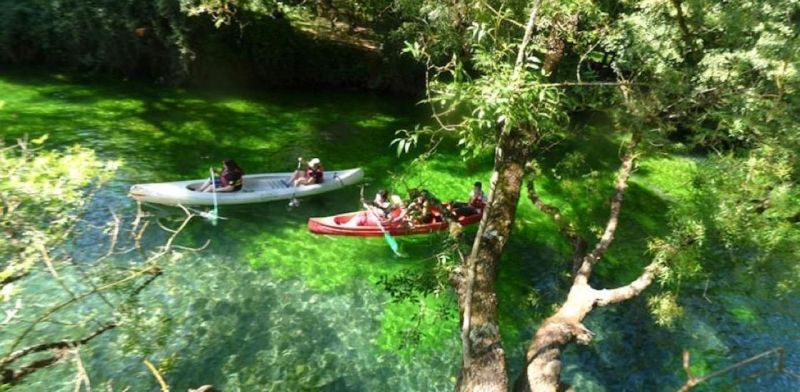 foto 18 Mietobjekt von Privatpersonen Isle sur la Sorgue maison Provence-Alpes-Cte d'Azur Vaucluse Nahaufnahme