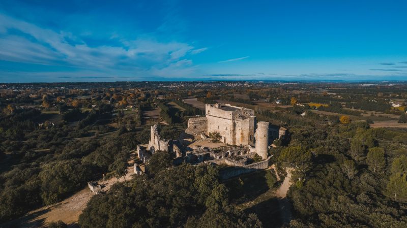 foto 14 Mietobjekt von Privatpersonen Isle sur la Sorgue maison Provence-Alpes-Cte d'Azur Vaucluse Nahaufnahme