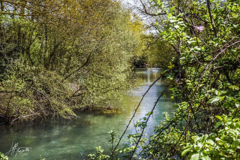 foto 19 Mietobjekt von Privatpersonen Isle sur la Sorgue maison Provence-Alpes-Cte d'Azur Vaucluse Nahaufnahme