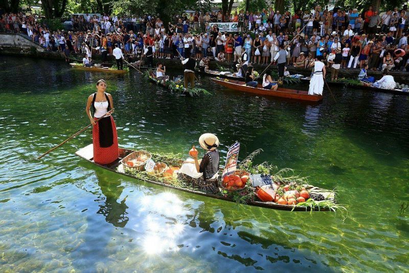 foto 20 Mietobjekt von Privatpersonen Isle sur la Sorgue maison Provence-Alpes-Cte d'Azur Vaucluse Nahaufnahme