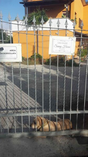 foto 8 Mietobjekt von Privatpersonen Tropea appartement Kalabrien Vibo Valentia (+Umland) Eingang
