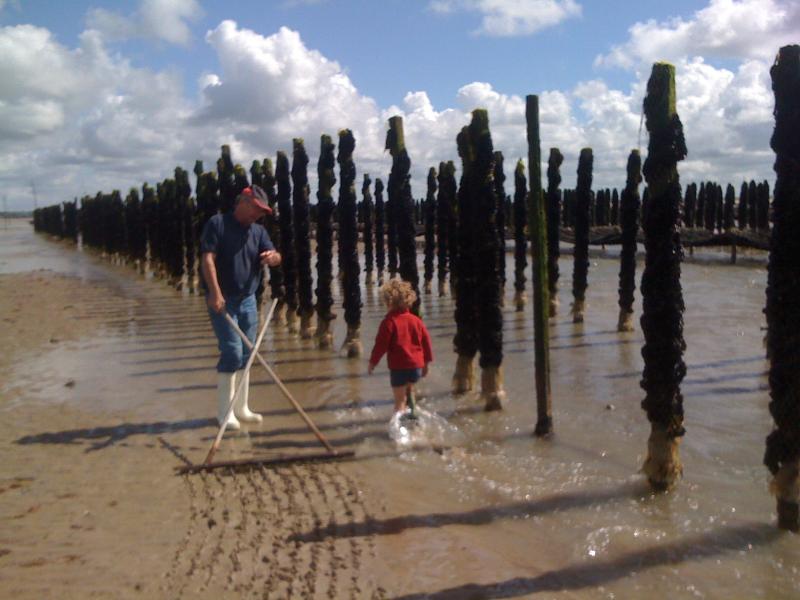 foto 8 Mietobjekt von Privatpersonen Granville maison Basse-Normandie Manche andere