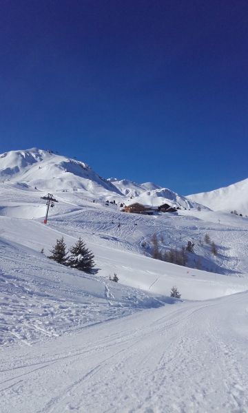 foto 15 Mietobjekt von Privatpersonen La Plagne studio Rhne-Alpes Savoyen andere