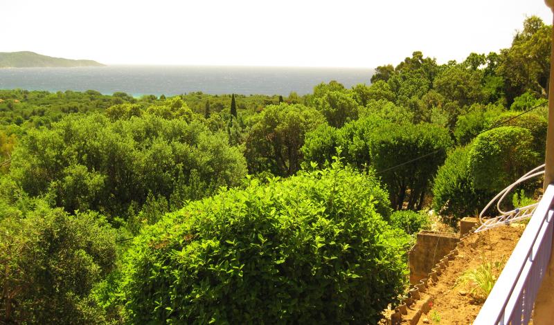 foto 0 Mietobjekt von Privatpersonen Cavalaire-sur-Mer appartement Provence-Alpes-Cte d'Azur Var Ausblick von der Terrasse