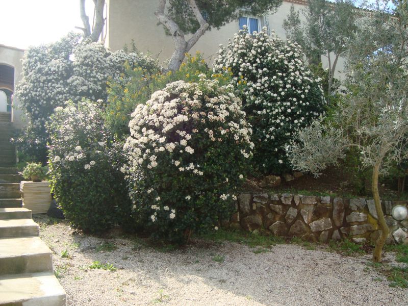 foto 12 Mietobjekt von Privatpersonen Cassis bungalow Provence-Alpes-Cte d'Azur Bouches du Rhne Garten