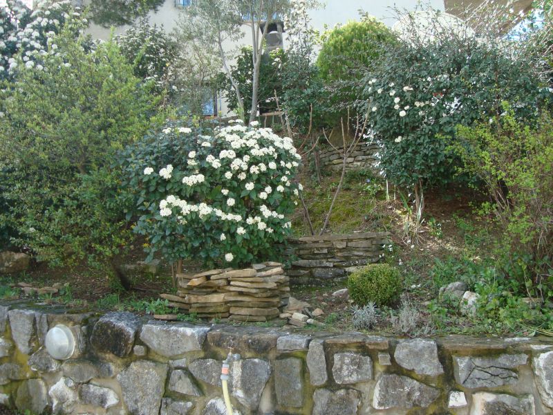 foto 14 Mietobjekt von Privatpersonen Cassis bungalow Provence-Alpes-Cte d'Azur Bouches du Rhne Garten