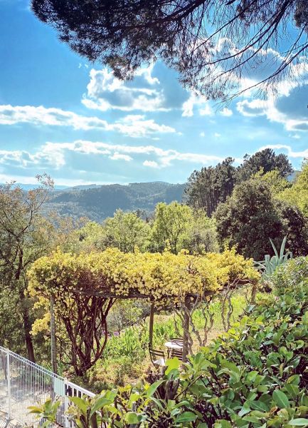 foto 11 Mietobjekt von Privatpersonen Joyeuse gite Rhne-Alpes Ardche Ausblick von der Terrasse