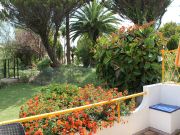 Ferienunterknfte 1-zimmerappartements mit kochnische Algarve: studio Nr. 95696
