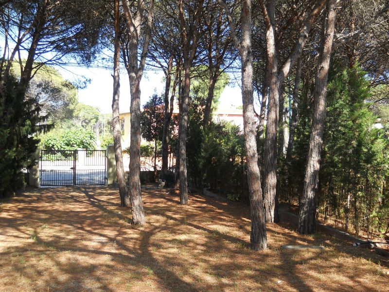 foto 24 Mietobjekt von Privatpersonen Posada appartement Sardinien Nuoro (+Umland) Garten