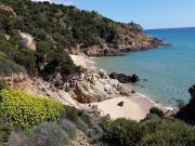 Ferienunterknfte Sardinien: villa Nr. 114837