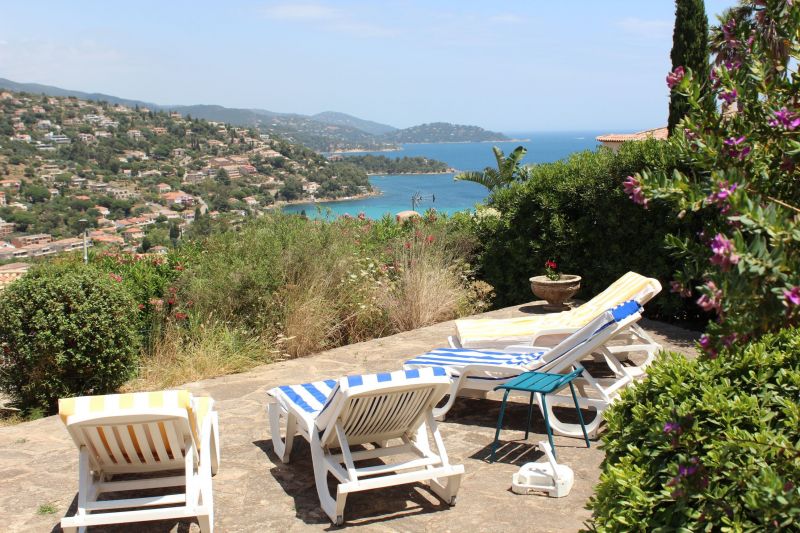 foto 12 Mietobjekt von Privatpersonen Le Lavandou villa Provence-Alpes-Cte d'Azur Var