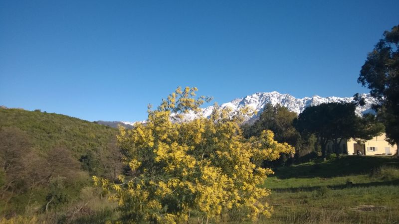 foto 25 Mietobjekt von Privatpersonen Calvi appartement Korsika Haute-Corse Ausblick aus der Ferienunterkunft