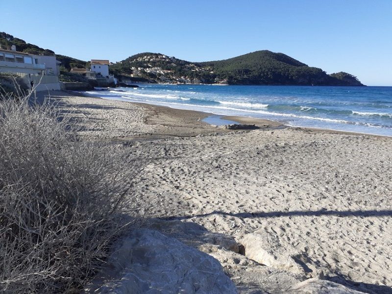 foto 0 Mietobjekt von Privatpersonen Saint Cyr sur Mer studio Provence-Alpes-Cte d'Azur Var