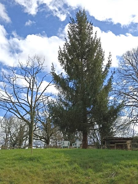 foto 17 Mietobjekt von Privatpersonen Brantme gite Aquitanien Dordogne Ansicht des Objektes