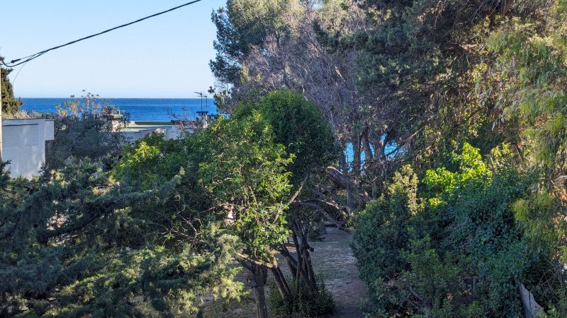 foto 1 Mietobjekt von Privatpersonen La Ciotat villa Provence-Alpes-Cte d'Azur Bouches du Rhne Ausblick vom Balkon