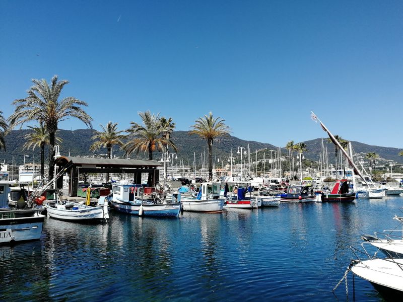 foto 0 Mietobjekt von Privatpersonen Cavalaire-sur-Mer studio Provence-Alpes-Cte d'Azur Var