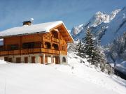 Ferienunterknfte skigebiete La Clusaz: appartement Nr. 73326