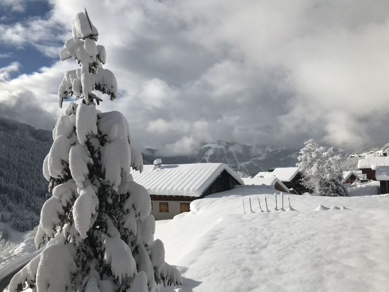 foto 14 Mietobjekt von Privatpersonen La Clusaz appartement Rhne-Alpes Haute-Savoie Ausblick von der Terrasse