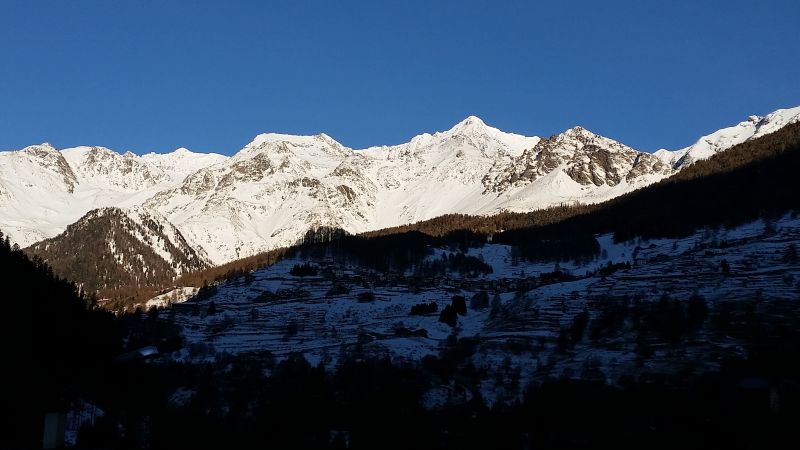 foto 7 Mietobjekt von Privatpersonen Peio (Pejo) appartement Trentino-Sdtirol Trient (+Umland) Ausblick vom Balkon