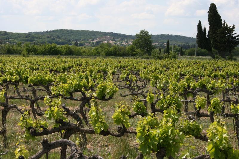 foto 16 Mietobjekt von Privatpersonen Orange gite Provence-Alpes-Cte d'Azur Vaucluse Ausblick aus der Ferienunterkunft