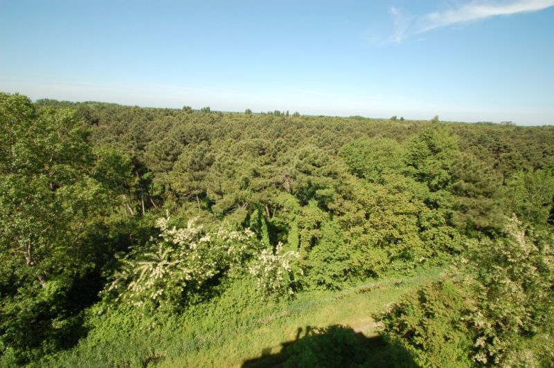 foto 1 Mietobjekt von Privatpersonen Milano Marittima appartement Emilia-Romagna Ravenna (+Umland) Ausblick von der Terrasse