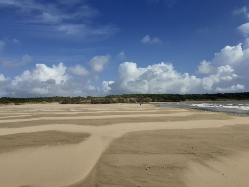 foto 27 Mietobjekt von Privatpersonen Talmont-Saint-Hilaire maison Pays de la Loire Vende Strand