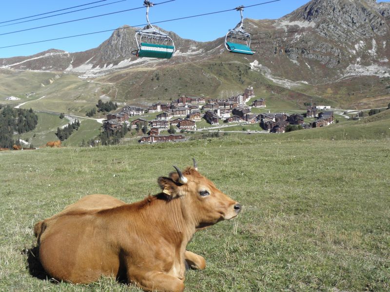 foto 29 Mietobjekt von Privatpersonen La Plagne appartement Rhne-Alpes Savoyen Nahaufnahme