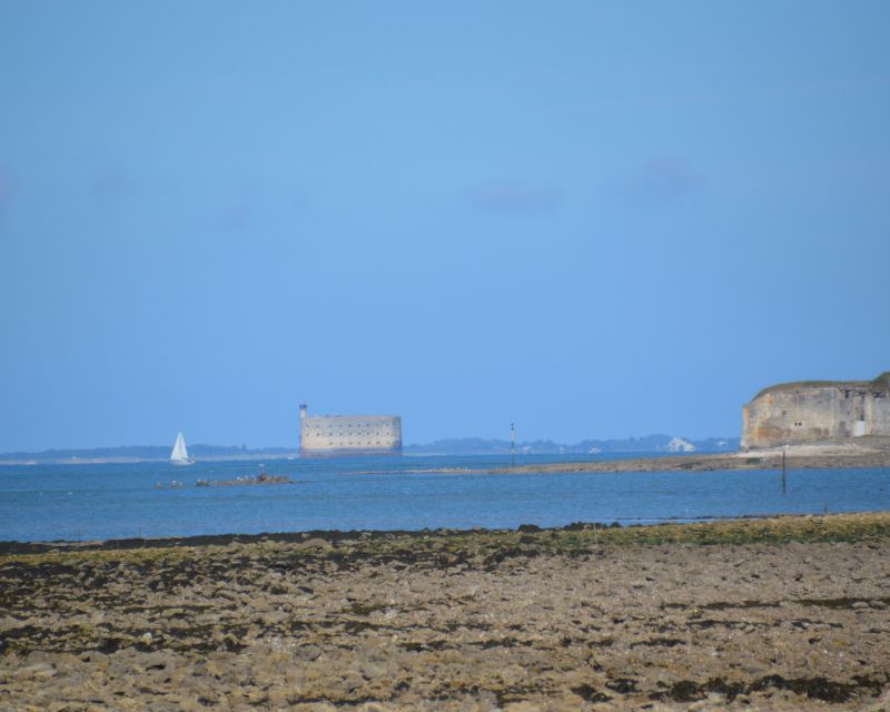 foto 3 Mietobjekt von Privatpersonen La Rochelle maison Poitou-Charentes Charente-Maritime Nahaufnahme