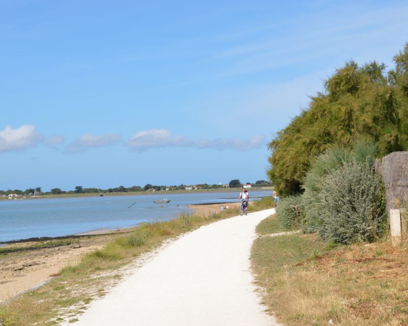 foto 26 Mietobjekt von Privatpersonen La Rochelle maison Poitou-Charentes Charente-Maritime Nahaufnahme