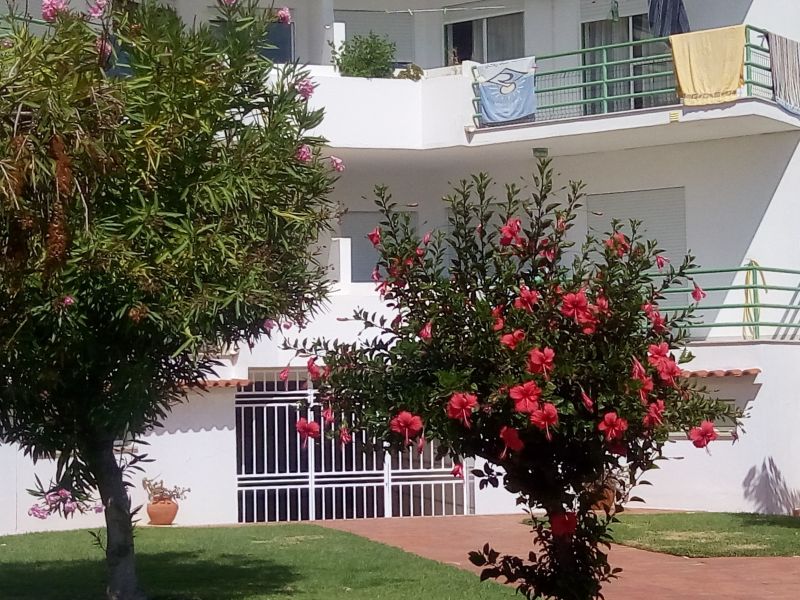 foto 3 Mietobjekt von Privatpersonen Albufeira appartement Algarve