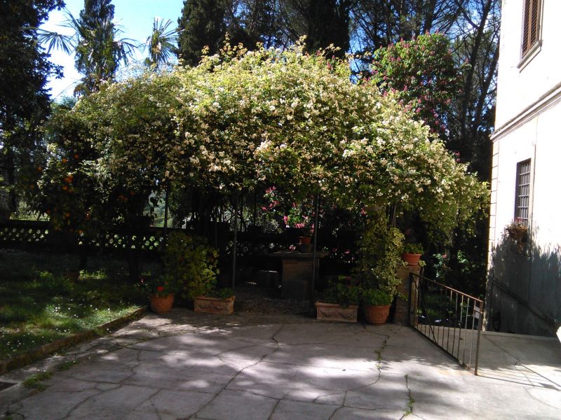 foto 25 Mietobjekt von Privatpersonen Camaiore appartement Toskana Lucca (+Umland) Garten
