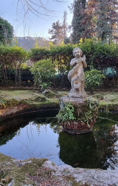 foto 27 Mietobjekt von Privatpersonen Camaiore appartement Toskana Lucca (+Umland) Garten