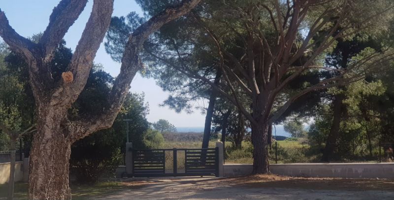 foto 9 Mietobjekt von Privatpersonen Porto Vecchio maison Korsika Corse du Sud Ausblick von der Terrasse