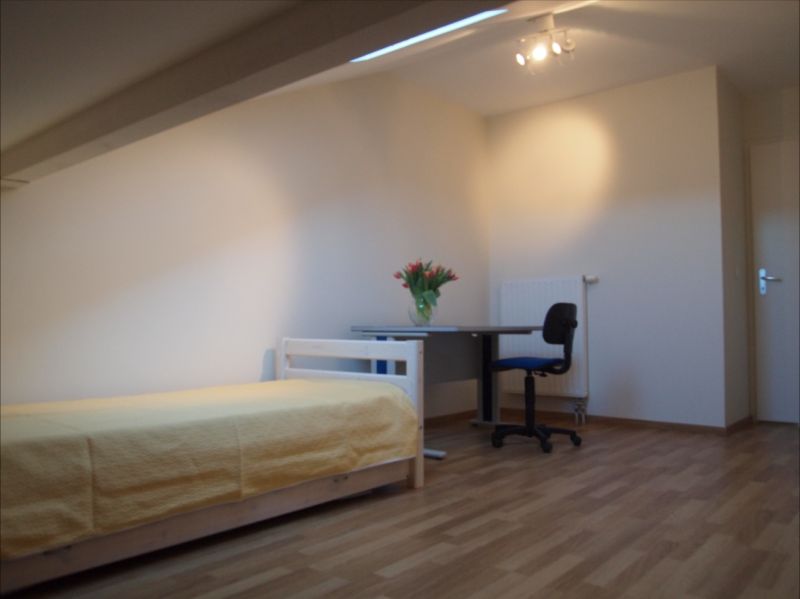 foto 8 Mietobjekt von Privatpersonen Thonon Les Bains appartement Rhne-Alpes Haute-Savoie Schlafzimmer 2