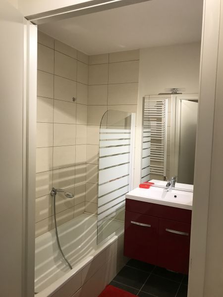 foto 9 Mietobjekt von Privatpersonen Thonon Les Bains appartement Rhne-Alpes Haute-Savoie Badezimmer