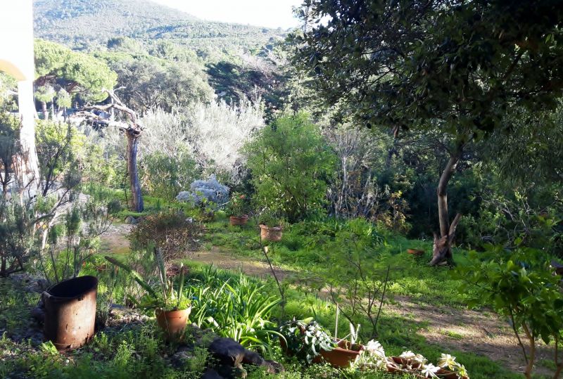 foto 27 Mietobjekt von Privatpersonen Le Pradet maison Provence-Alpes-Cte d'Azur Var Garten