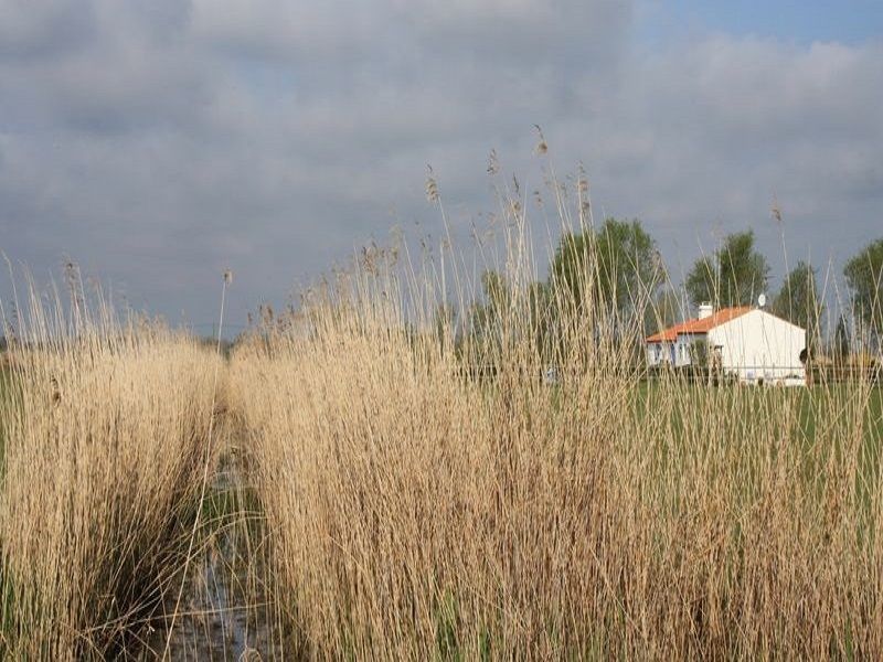 foto 12 Mietobjekt von Privatpersonen Saint Hilaire de Riez appartement Pays de la Loire Vende