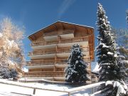 Ferienunterknfte skigebiete Les Quatre Valles: appartement Nr. 117455