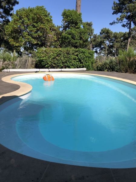 foto 2 Mietobjekt von Privatpersonen Lge Cap Ferret villa Aquitanien Gironde Schwimmbad